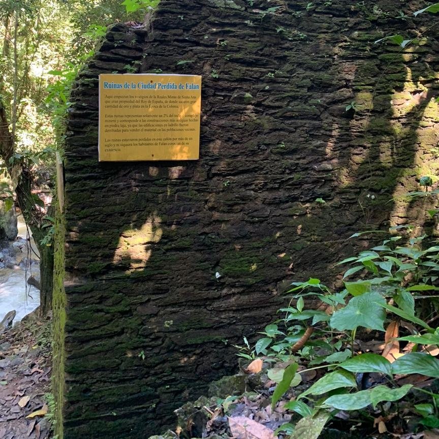 Ciudad Perdida Falan