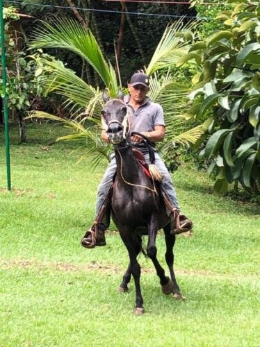 Cabalgata